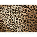 /msite/products/detail/productid/58626769/id/683951.html